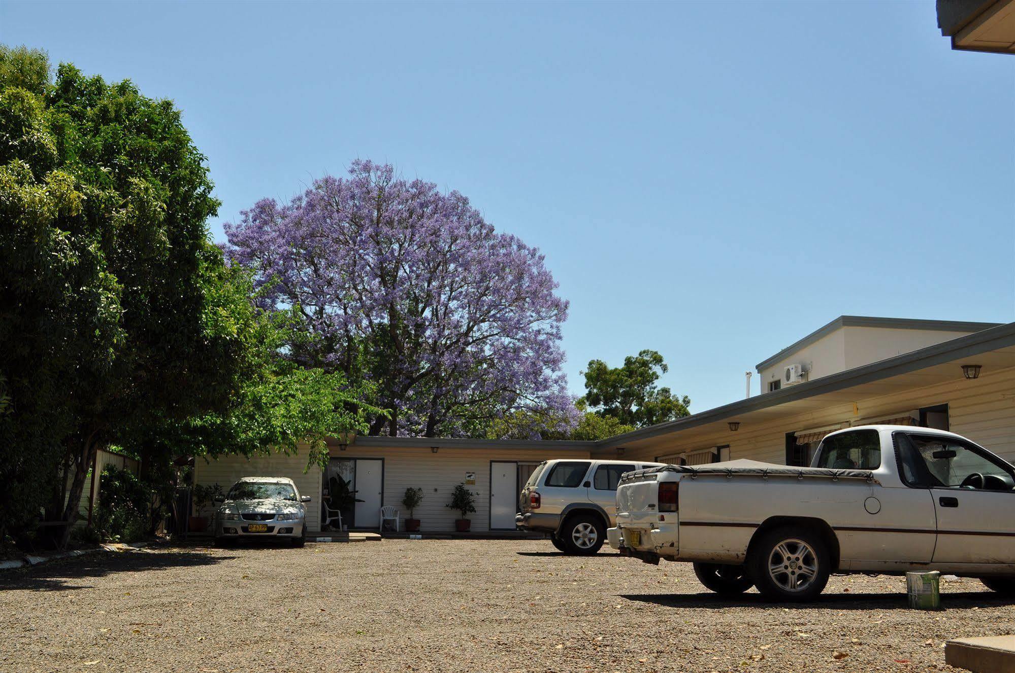 Red Cedar Motel Muswellbrook Exterior photo